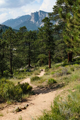 Trail leading into the mountains