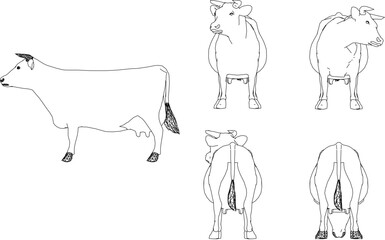 Adobe Illustrator Artwork vector design sketch illustration of a collection of cow animals for completeness of the image design