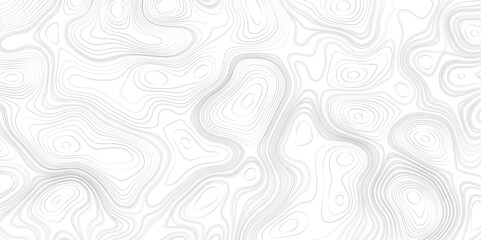 Topography map background Grid map Contour Vector illustration. Landscape background with an abstract topography map design