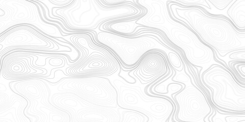 Topography map background Grid map Contour Vector illustration. Landscape background with an abstract topography map design