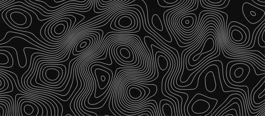 Fototapeta premium Abstract outline topographic contour map background. Dark texture background for your perfect interior. Old paper texture design .geographical map Imitation. 