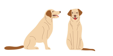 Dogs. Labrador Retriever. Thoroughbred dog isolated on white background. Dogs sitting. Pet, domestic animal. Light-colored short-haired dog. Flat vector pet animals isolated on white background.