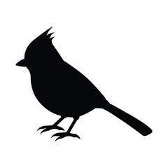 silhouette of a titmouse bird on white