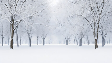 Enchanting Serenity of the First Winter Snow in a Secluded Forest Landscape - Nature's Silent Symphony