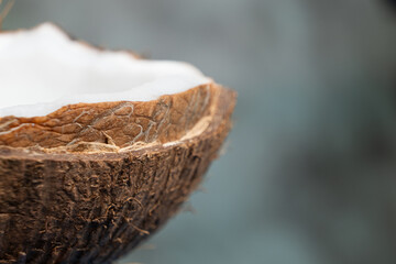 Half coconut shell macro, copy space for text