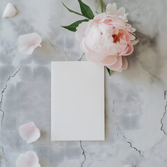 Elegant Peony Flower and Blank Card on Textured Background