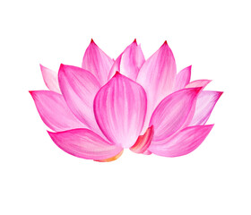 Neon pink lotus flower, watercolor illustration isolated on white. Bright Asian tropical water lily plant for spa and yoga salon, blogs and floral cards