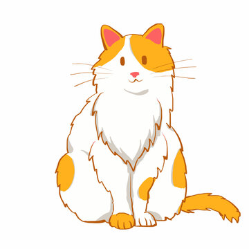 Hand drawn cat cartoon