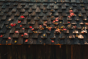 Maple leaf fall on wooden roof - 769850167