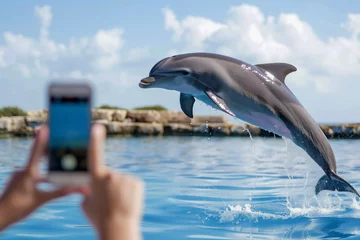 Fotobehang teen capturing dolphin jump on smartphone © primopiano