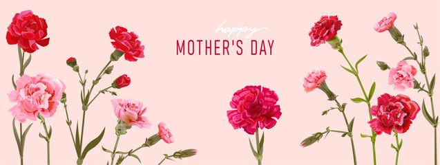 Rectangular card for Mother's Day. Panoramic frame with red, pink, white carnation flowers on pink background. Template with massage for mother greeting. Realistic illustration in watercolor style - obrazy, fototapety, plakaty
