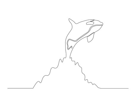 Continuous one line drawing of orca whale. One line of wild whale killer. Under ocean concept continuous line art. Editable outline.