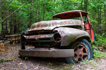 An old rusty circa 1940's truck overgrown with weeds in an auto wrecker scrap yard