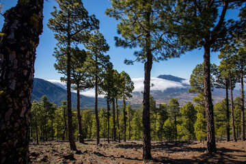 Landscape in Bejenado Peak in Caldera de Taburiente, La Palma, Spain