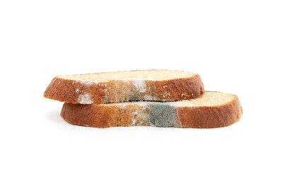 Pieces of moldy bread.