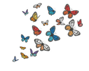 Obraz premium Butterfly collection. Watercolor illustration. Colorful Butterflies set colorful butterflies 