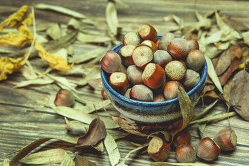 blue cup of hazelnuts with leaves