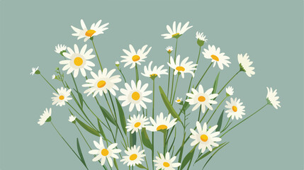 Bouquet of Daisy Flowers Vector Composition. Natura