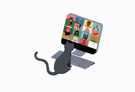 Cat appearing as participant in video conference