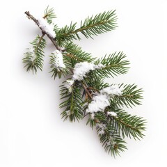 Snow-Covered Pine Branches Isolated on White Background. Generative AI.