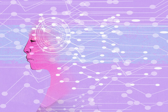 Network connections from female brain