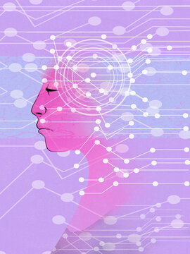Network connections from female brain