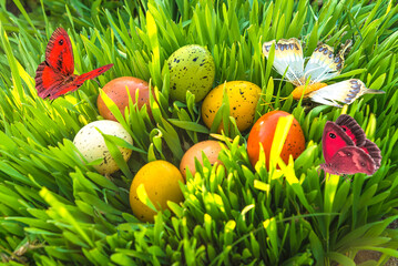 easter eggs in grass with flying butterflies
