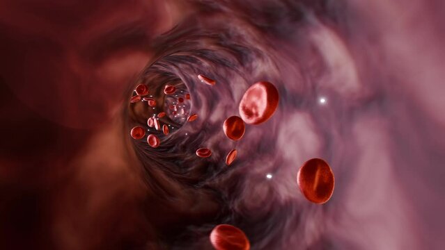Blood Vessel: Proteins In Blood
