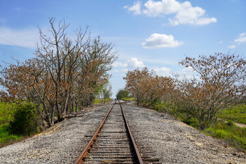 Fototapeta premium railway in the countryside