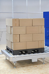 Boxes at Plastic Pallet Transport by Conveyor Rollers in Distribution Warehouse