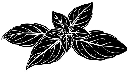 Leaf of tree and svg file