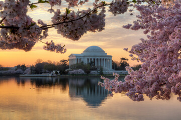the Tidal Basin and Jefferson Memorial during spring.