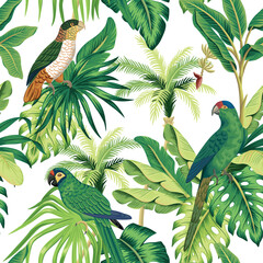 Tropical parrots, bird, banana tree, green palm leaves floral seamless pattern white background. Exotic jungle wallpaper.