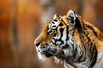 Fototapeta premium tiger portrait in profile. ai generative