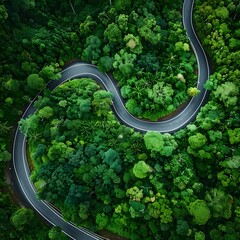 Aerial top view of a beautiful, curvy road through a green forest during the rainy season. - obrazy, fototapety, plakaty