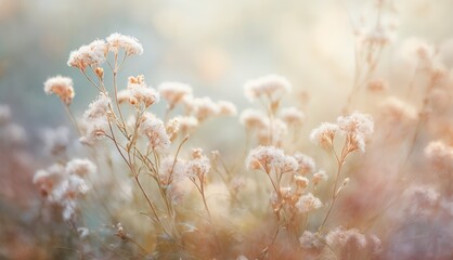   A close-up of a group of flowers, with a clear foreground and a soft, blurry background
