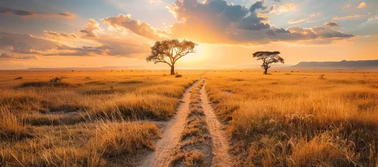 Papier peint Orange Beautiful landscape with tree in Africa. AI generated illustration