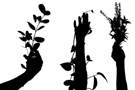 vector, ilustracion, manos, brazo, persona, plantas, se&ntilde;as, pose, amor, dedos, manos libres, siluetas, lenguaje, gestos