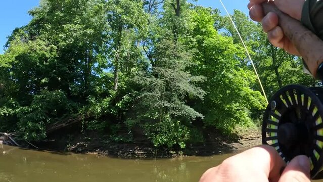 Fly fishing, hooked fish fighting and reeling in 