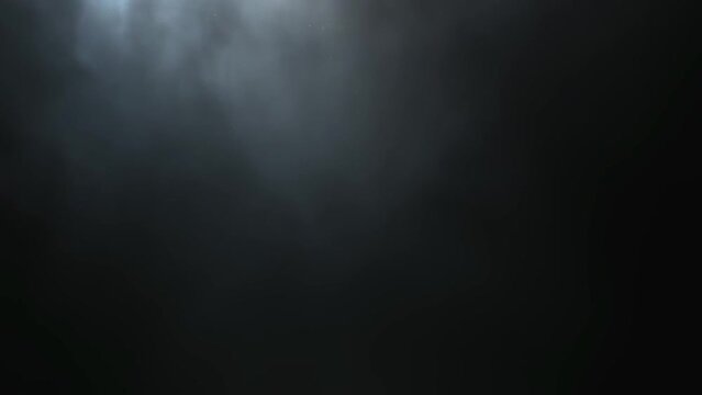 An awakened bat is flying
