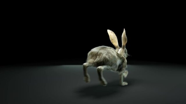 3d animation Running hare .Octane rabbit. loop 