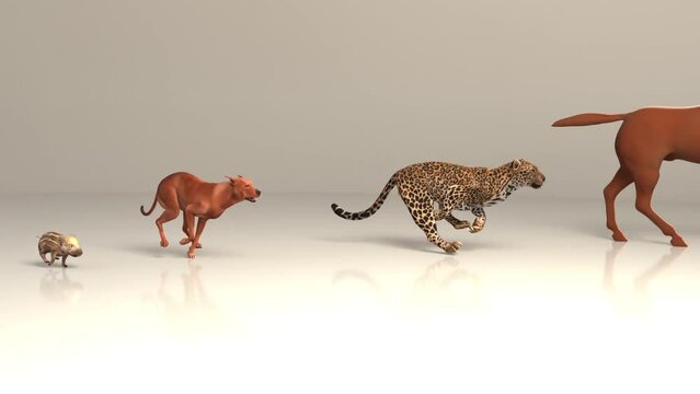 animal speed wild boar, dog, cheetah, horse run