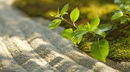 tranquil Zen garden with raked sand moss - obrazy, fototapety, plakaty