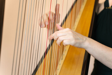 Middle aged harpist playing a traditional harp