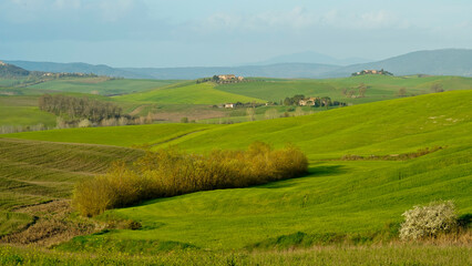 Fototapeta na wymiar Panorama collinare della Val d'Orcia lungo il percorso ciclistico dell'Eroica. Provincia di Siena. Toscana , Italia 