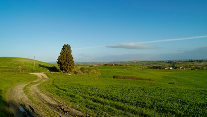 Obraz premium Panorama collinare della Val d'Orcia lungo il percorso ciclistico dell'Eroica. Provincia di Siena. Toscana , Italia 