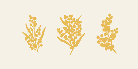 Flat vector wattle branches set