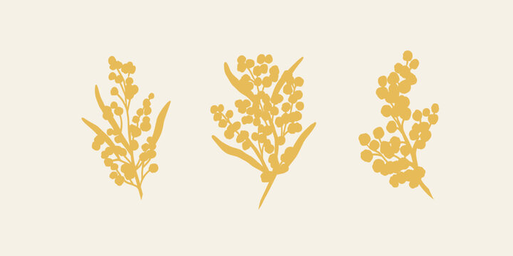 Flat vector wattle branches set