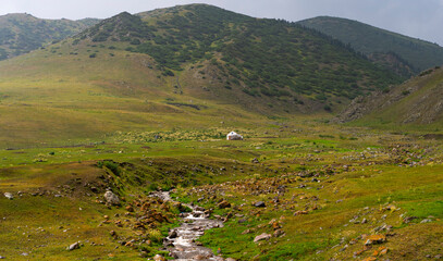 Fototapeta na wymiar Beautiful nature of Kazakhstan on the Assy plateau in summer. Mountain river, green hills and white yurts