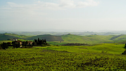 Panorama collinare della Val d'Orcia lungo il percorso ciclistico dell'Eroica. Provincia di Siena. Toscana , Italia
 - obrazy, fototapety, plakaty